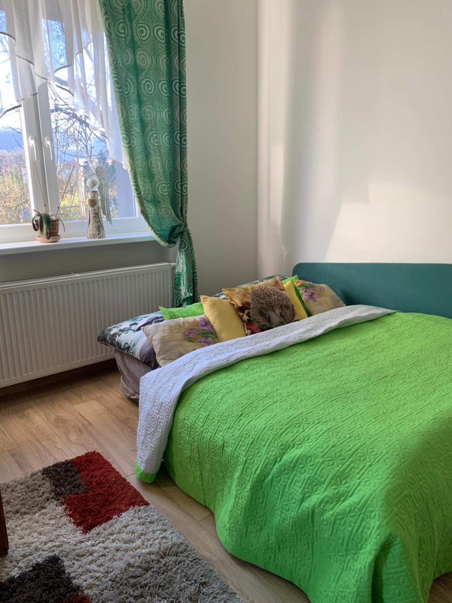 Mnichov Dvor Hotel Slovenska Lupca Buitenkant foto
